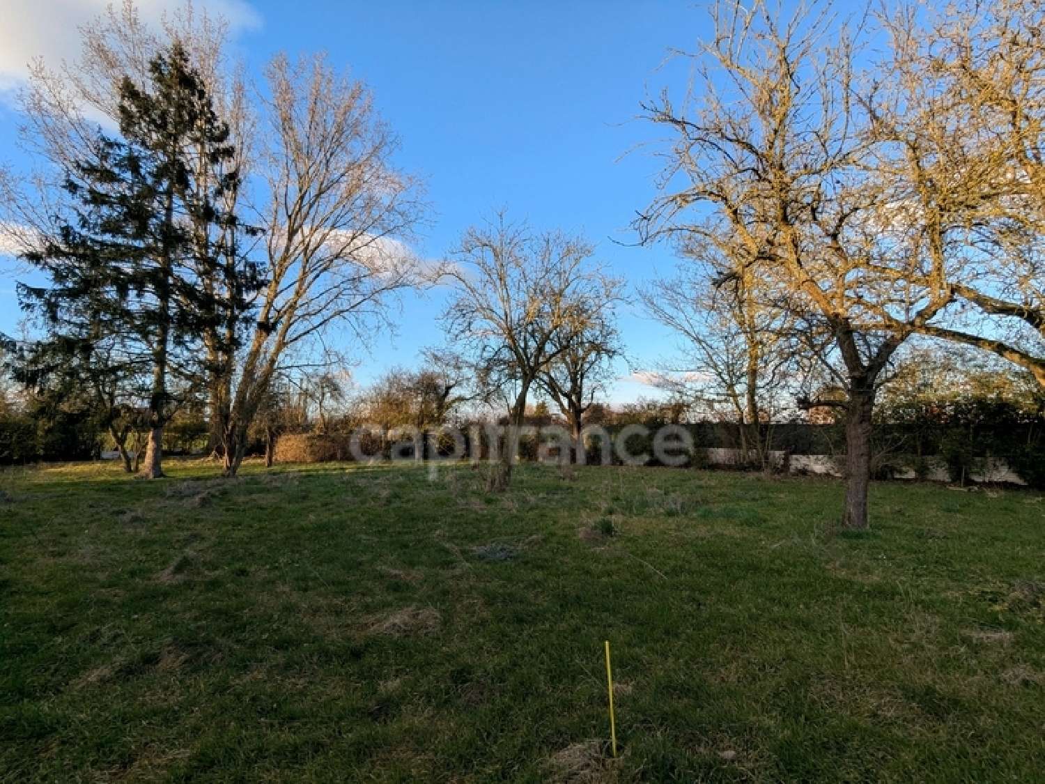  kaufen Grundstück Neuville-en-Ferrain Nord 4