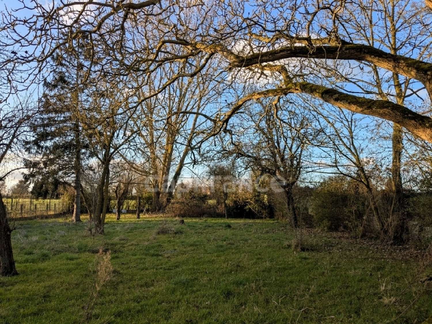  kaufen Grundstück Neuville-en-Ferrain Nord 5