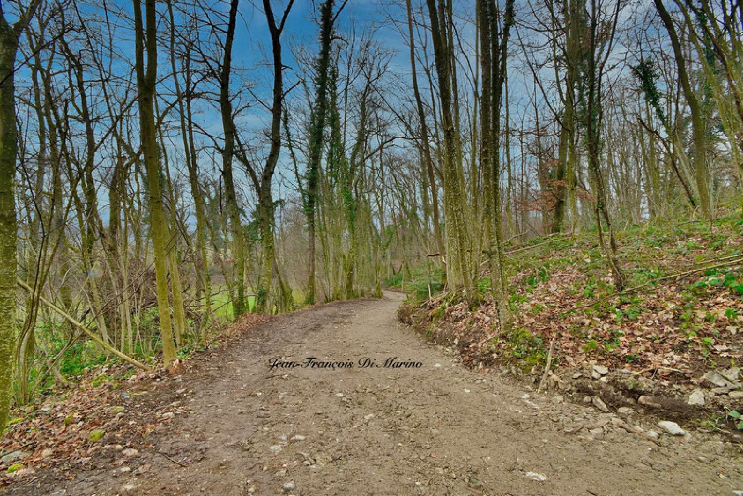  à vendre terrain Perrignier Haute-Savoie 3