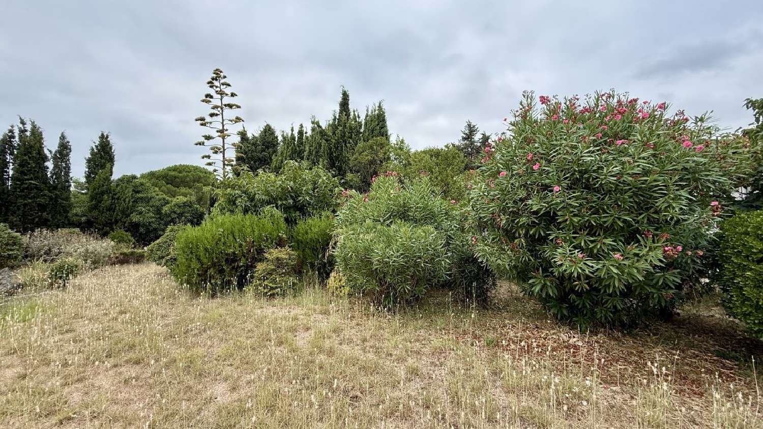 en venta terreno Pézenas Hérault 1