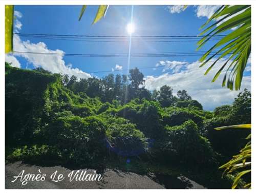 Pointe-Noire Guadeloupe terrein foto 7237868