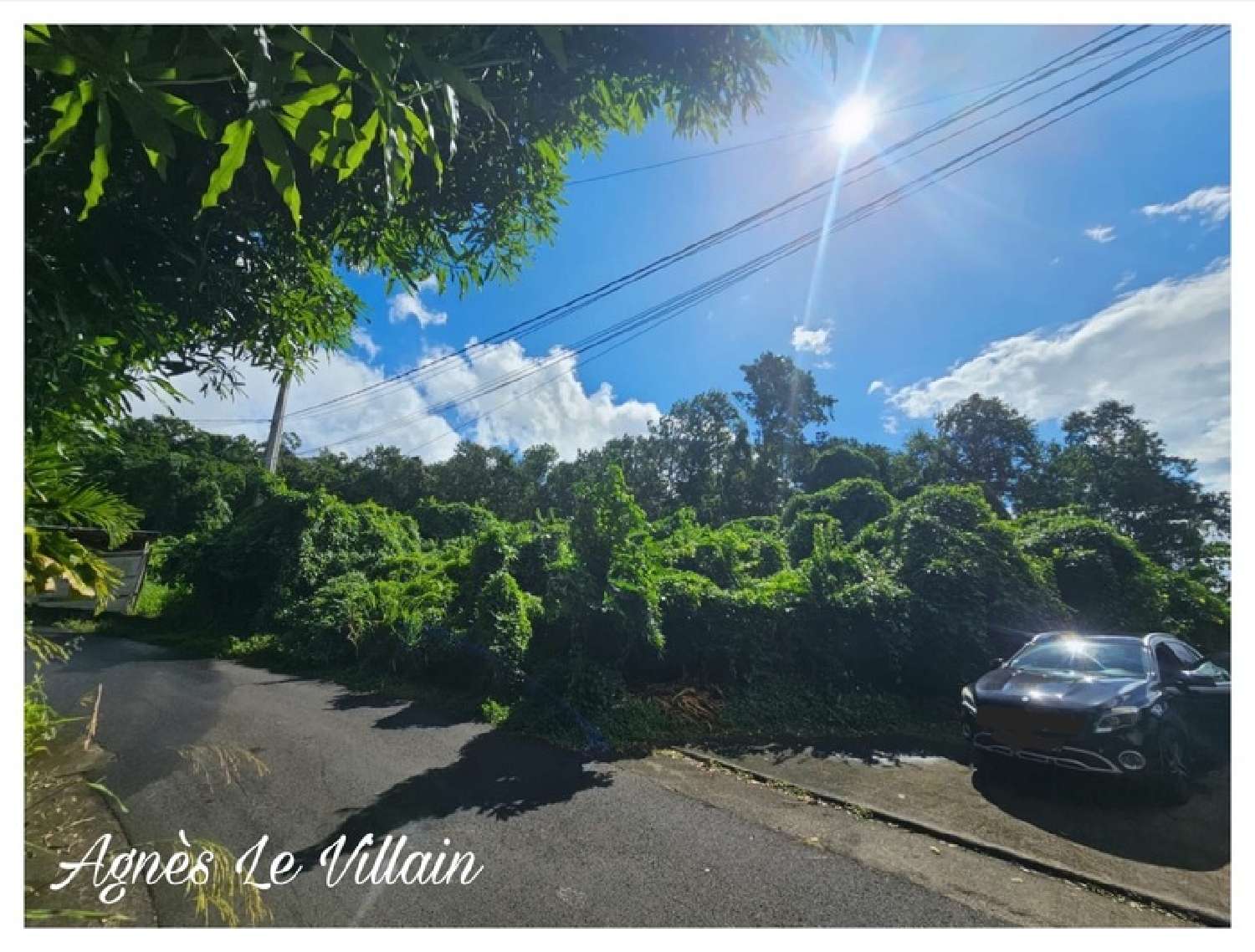  te koop terrein Pointe-Noire Guadeloupe 4