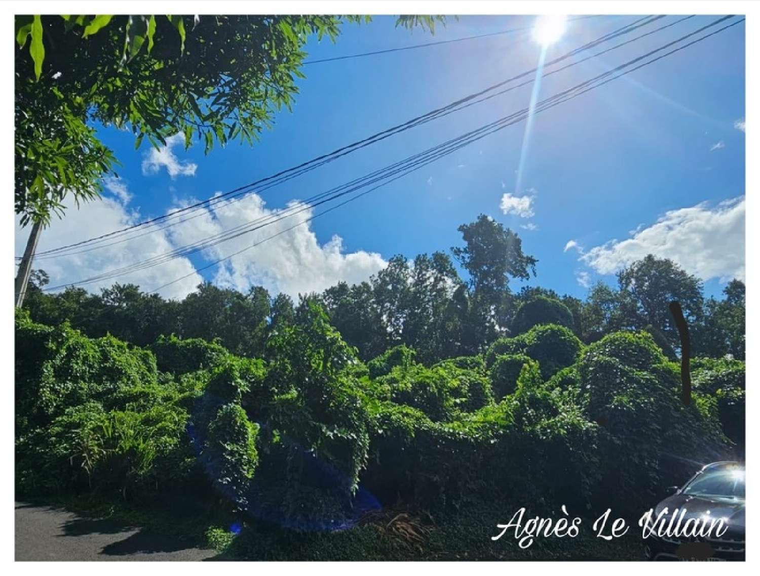  te koop terrein Pointe-Noire Guadeloupe 5
