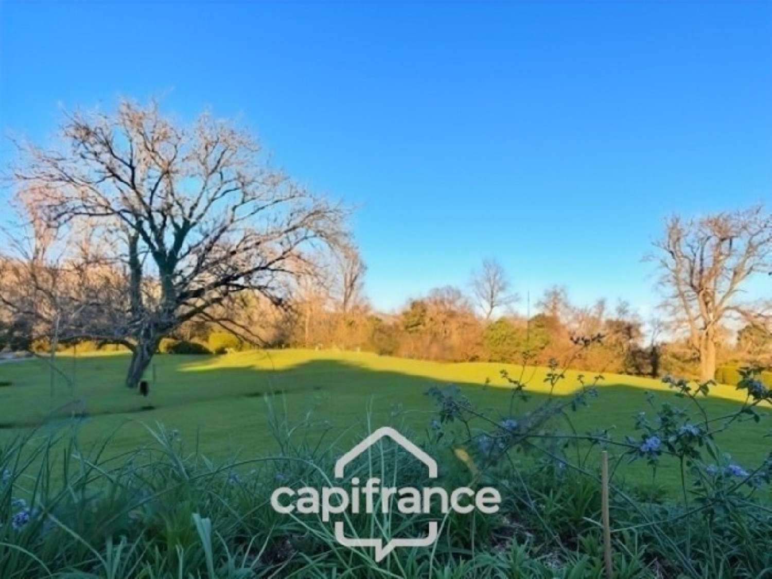 kaufen Grundstück Poiseux Nièvre 5