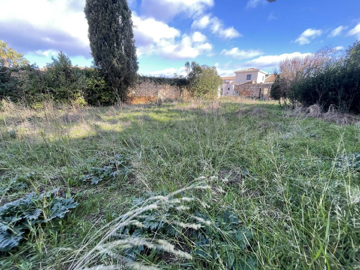  à vendre terrain Pomérols Hérault 1