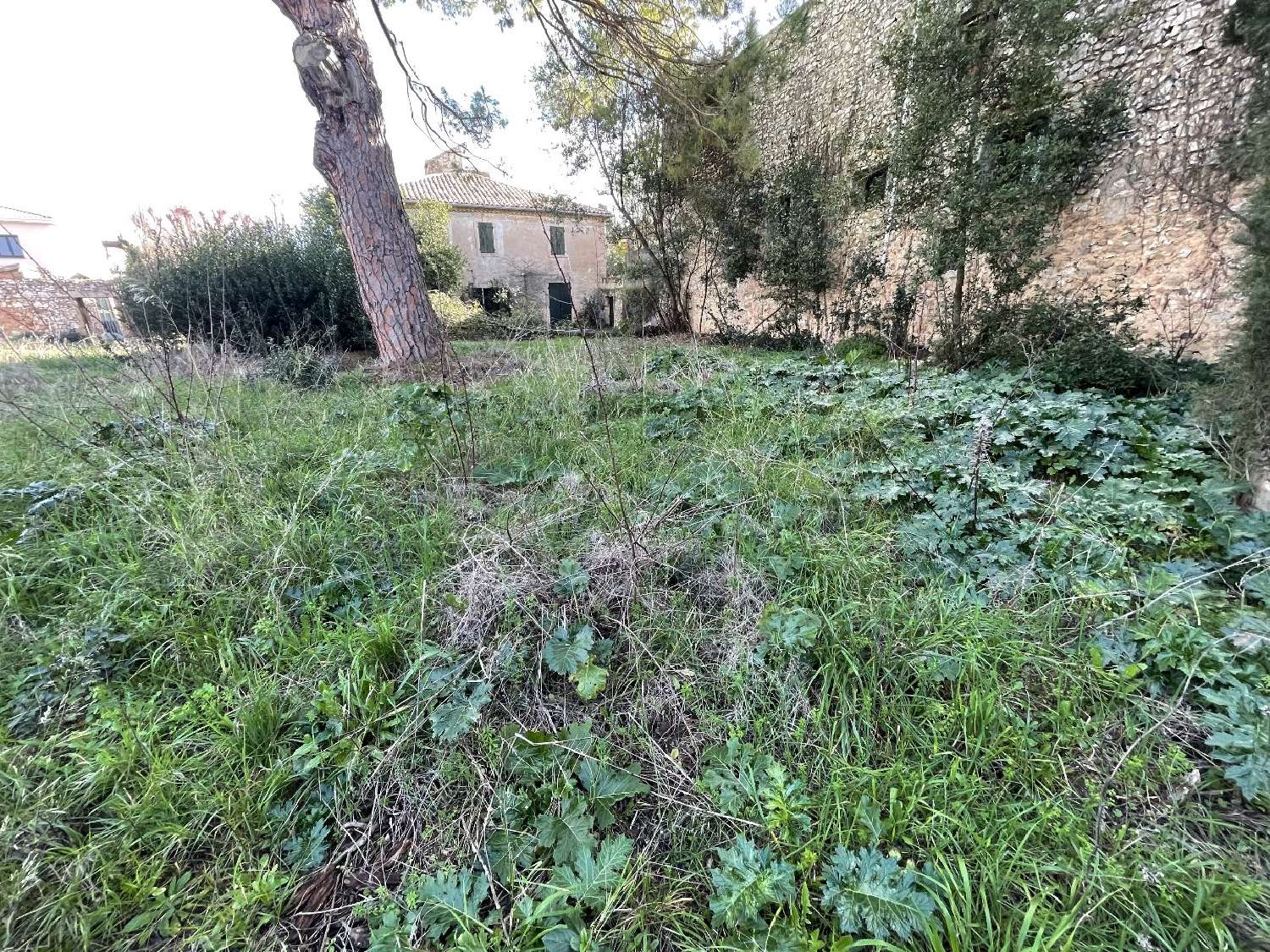  à vendre terrain Pomérols Hérault 4