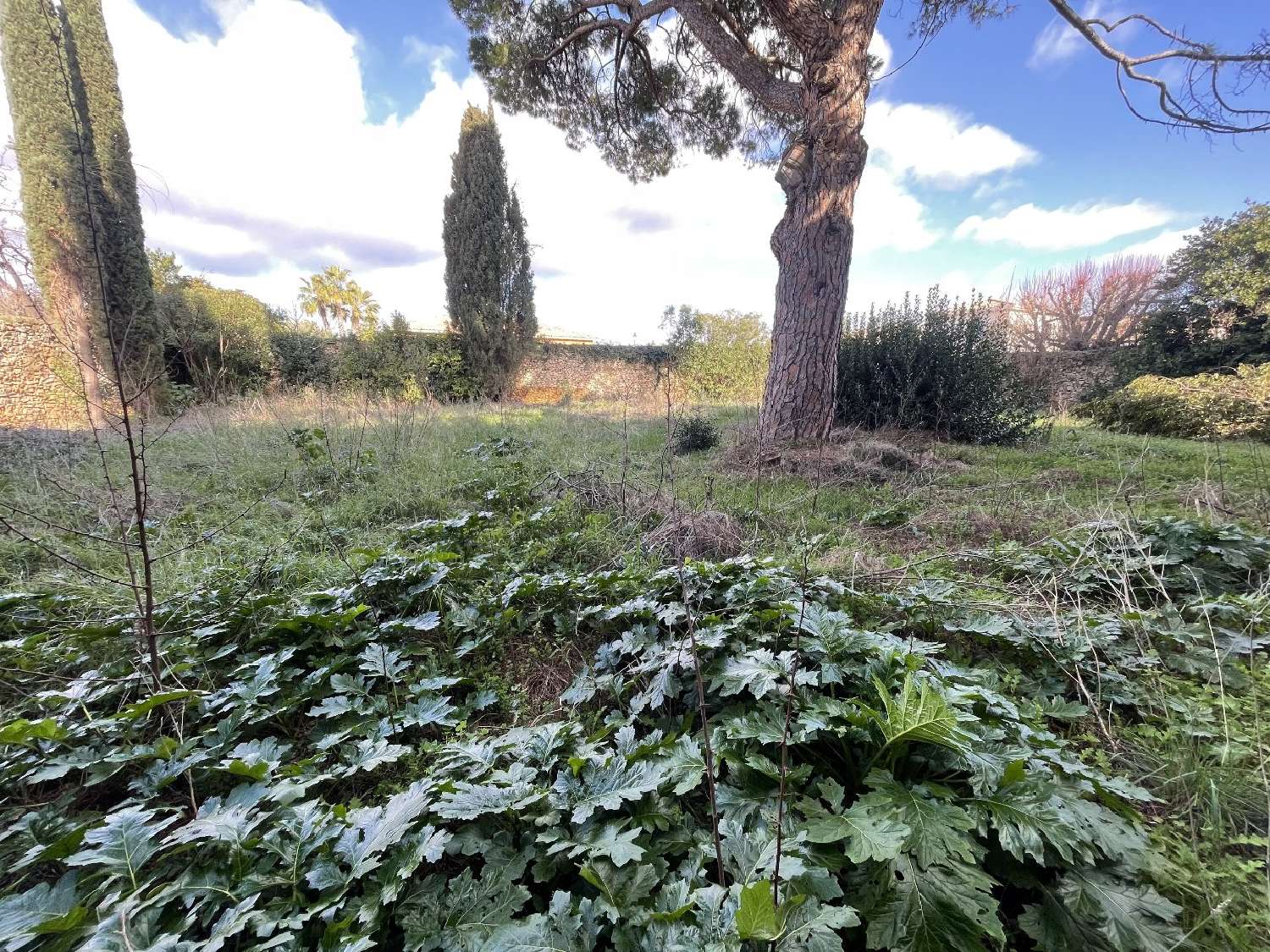  à vendre terrain Pomérols Hérault 7