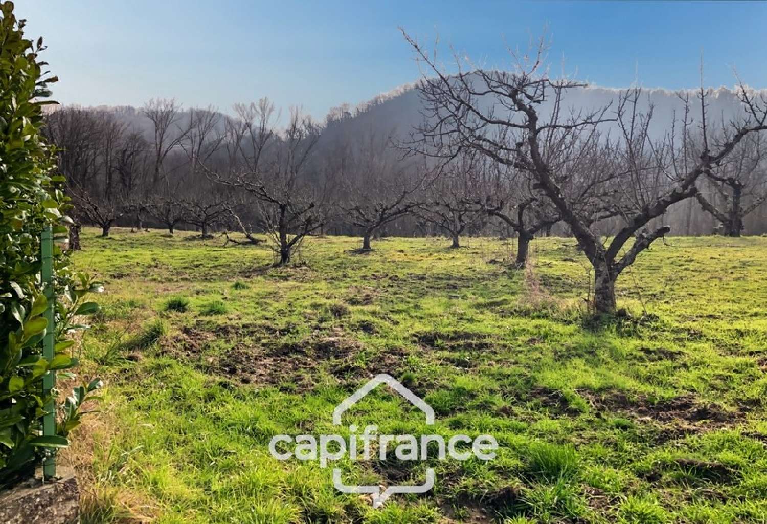  for sale terrain Ponsas Drôme 1