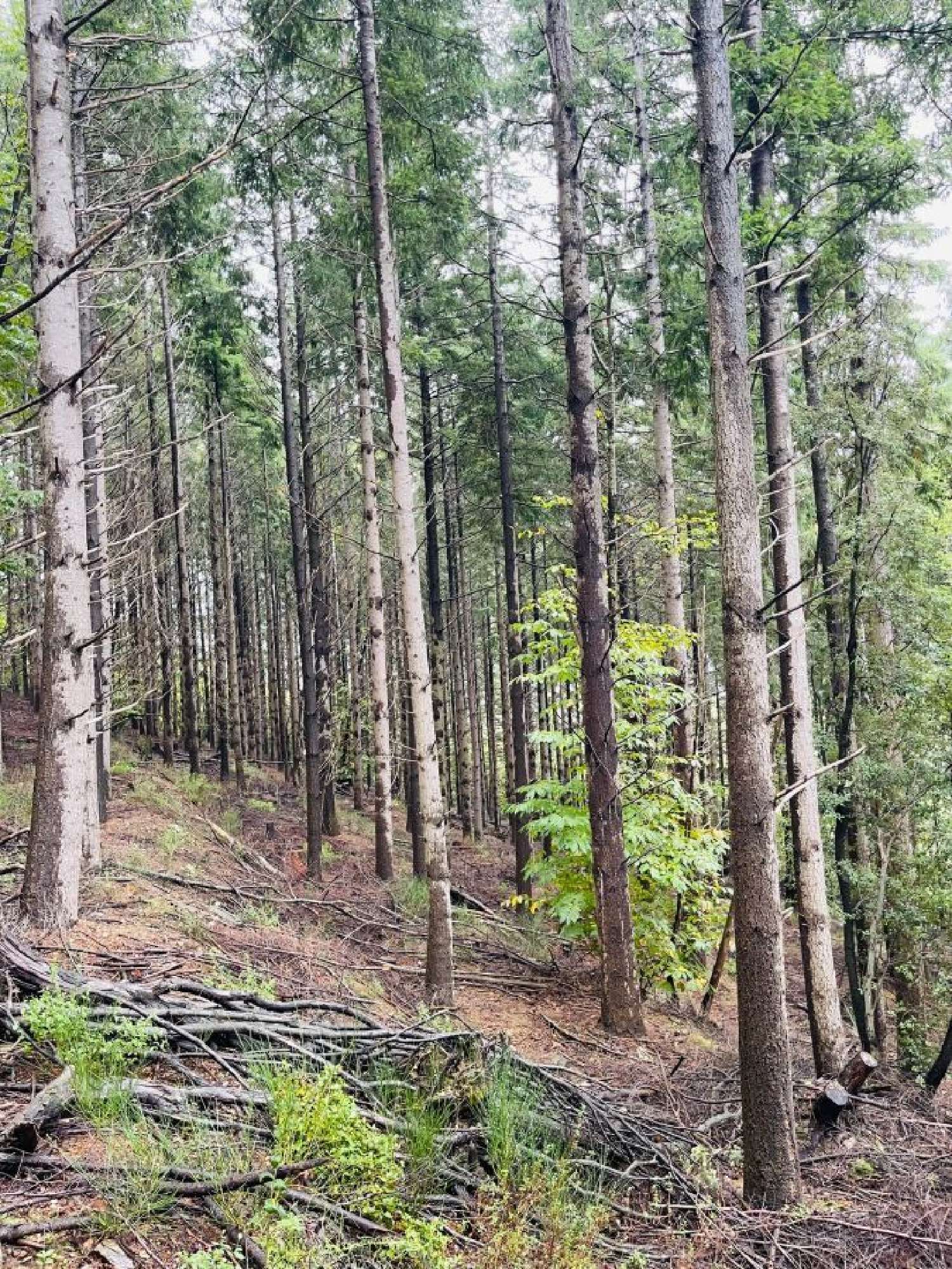 te koop terrein Prémian Hérault 1