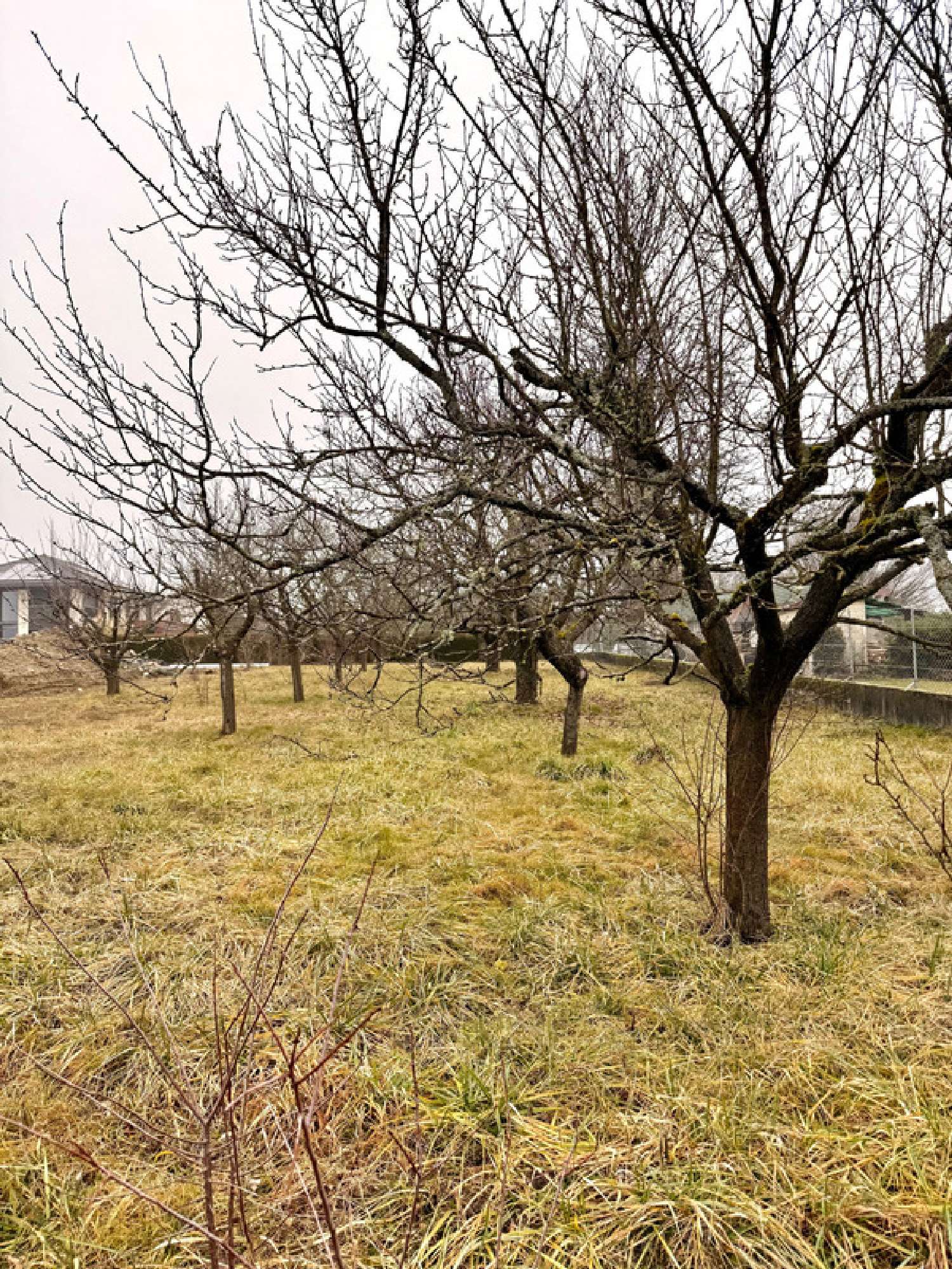  te koop terrein Prévessin-Moens Ain 1