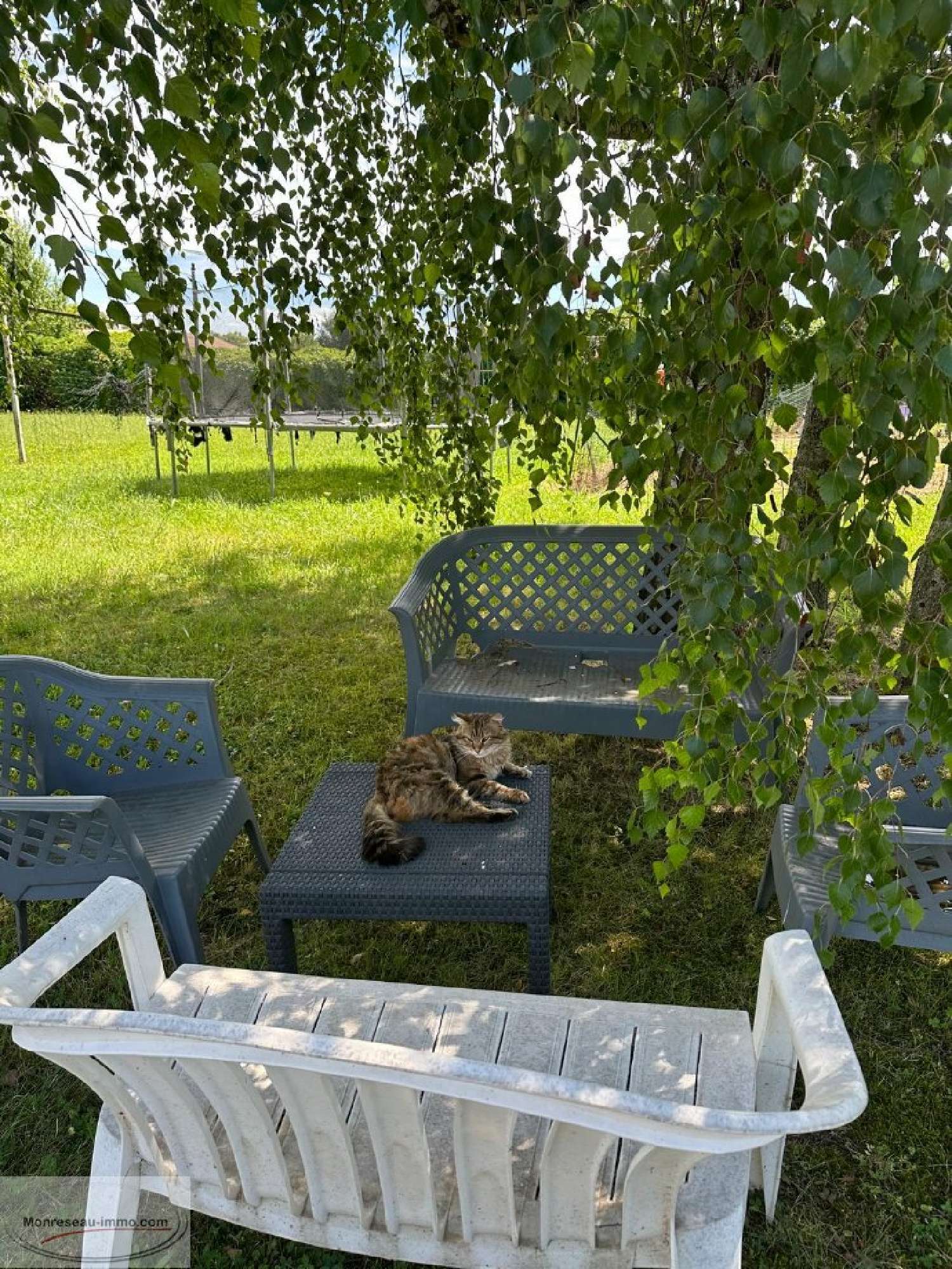  kaufen Grundstück Prissé Saône-et-Loire 2