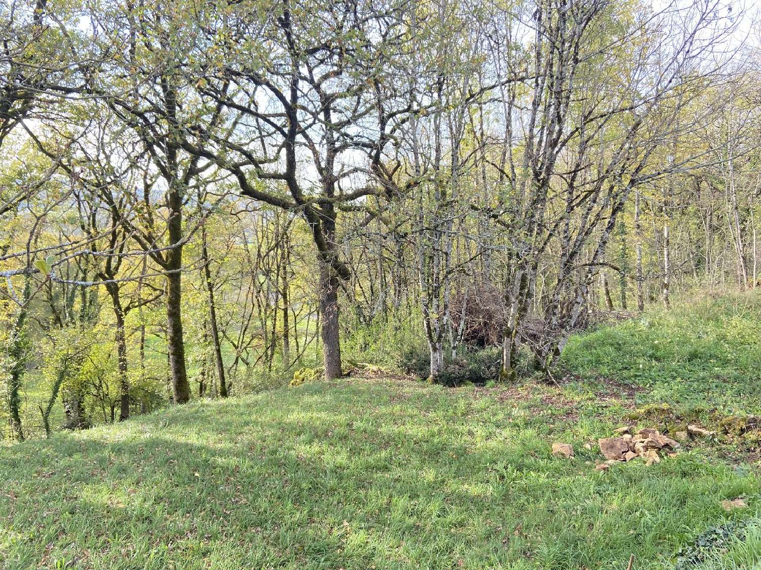  à vendre terrain Prudhomat Lot 6