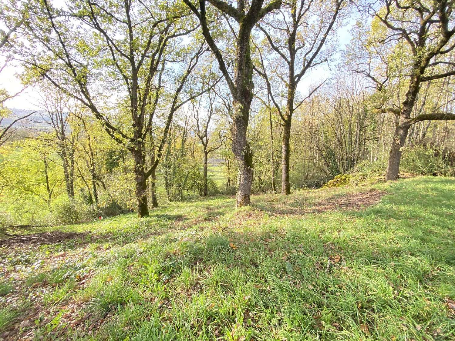  à vendre terrain Prudhomat Lot 7