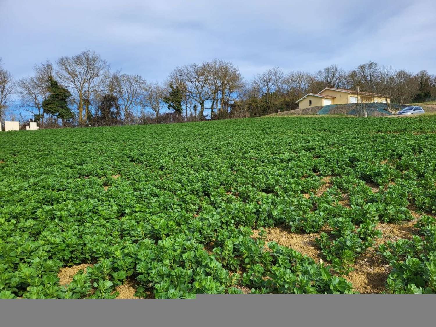  te koop terrein Puycasquier Gers 2