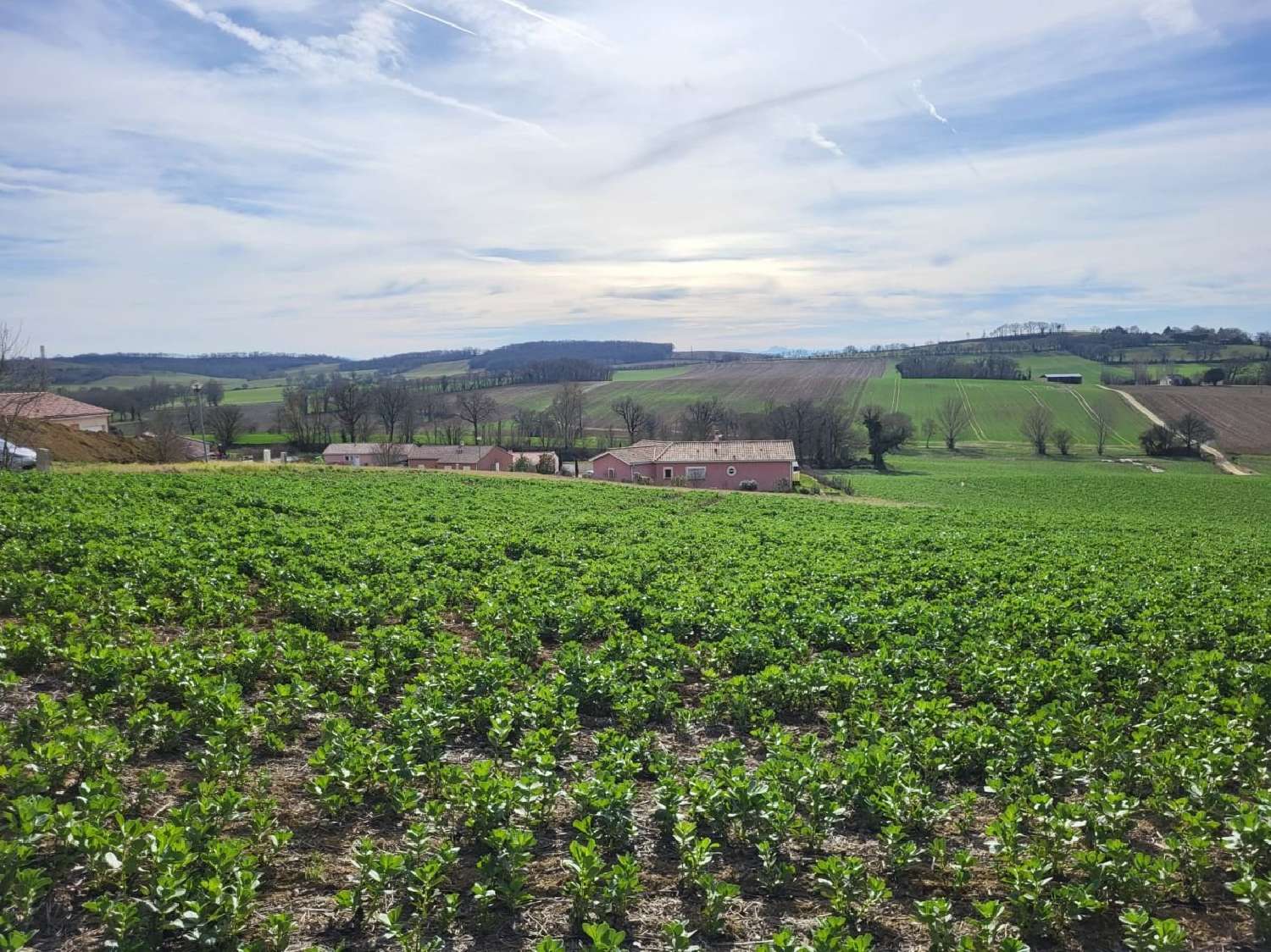  à vendre terrain Puycasquier Gers 1