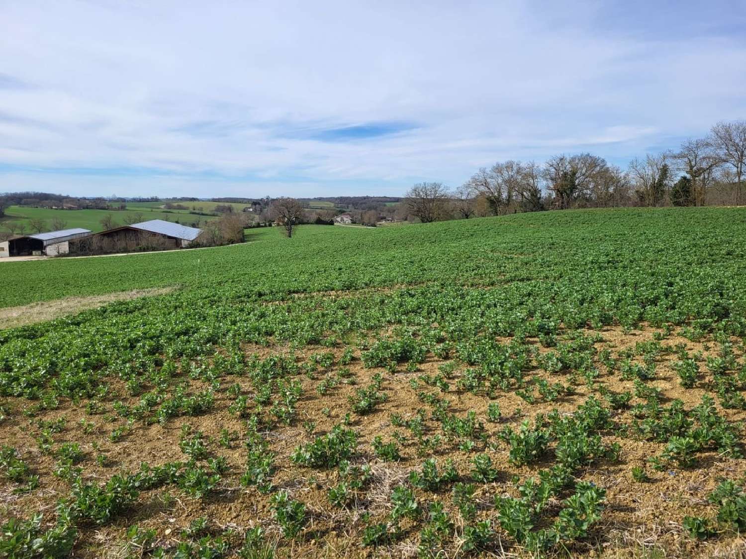  à vendre terrain Puycasquier Gers 2