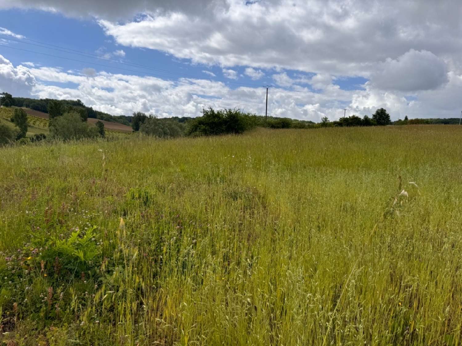  te koop terrein Puymirol Lot-et-Garonne 4