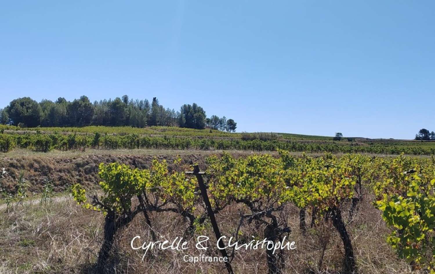  te koop terrein Saint-André-de-Sangonis Hérault 8