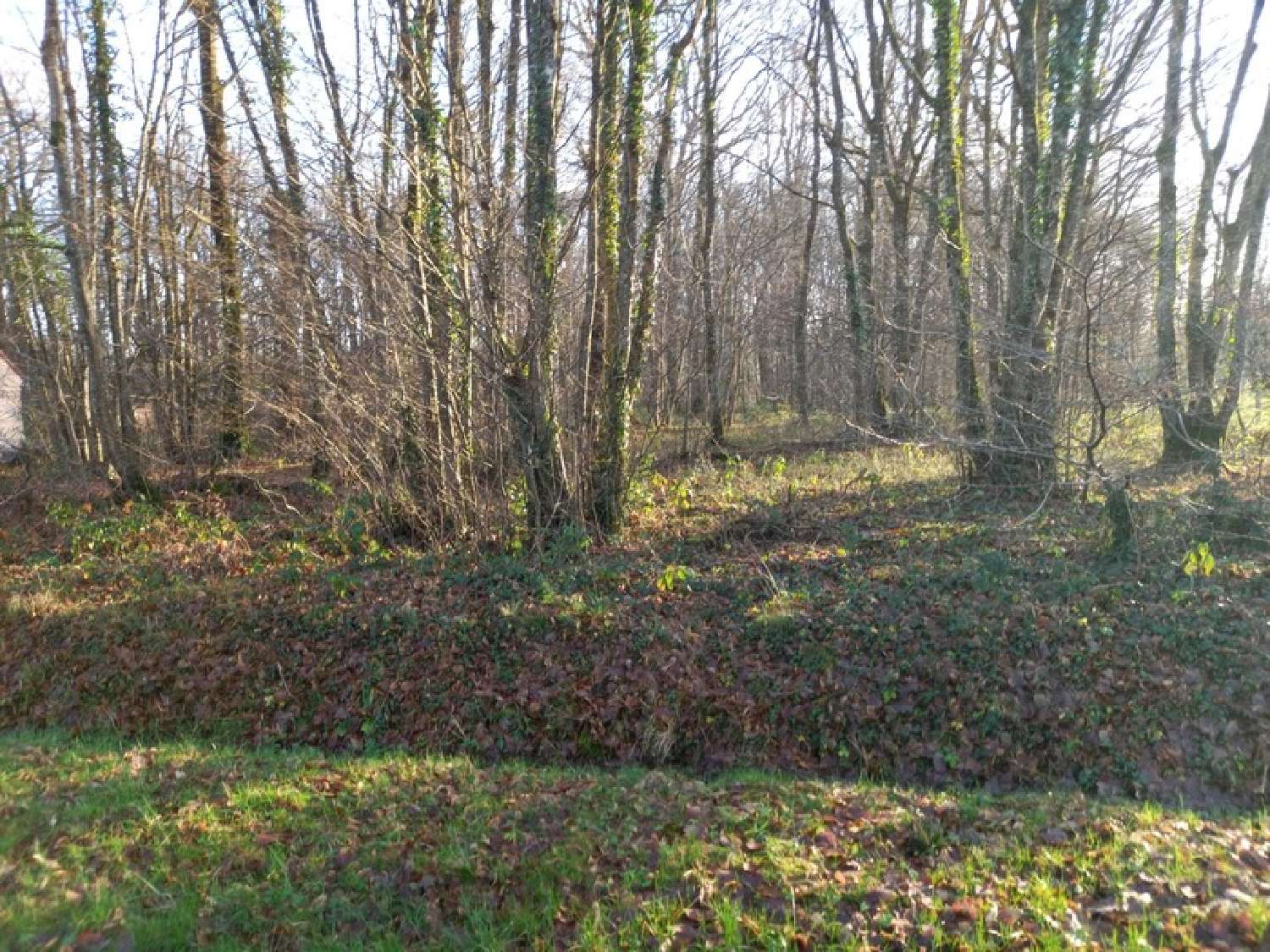  te koop terrein Saint-Hilaire-les-Andrésis Loiret 1