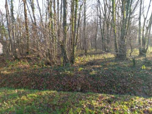 Saint-Hilaire-les-Andrésis Loiret terrein foto 7239589