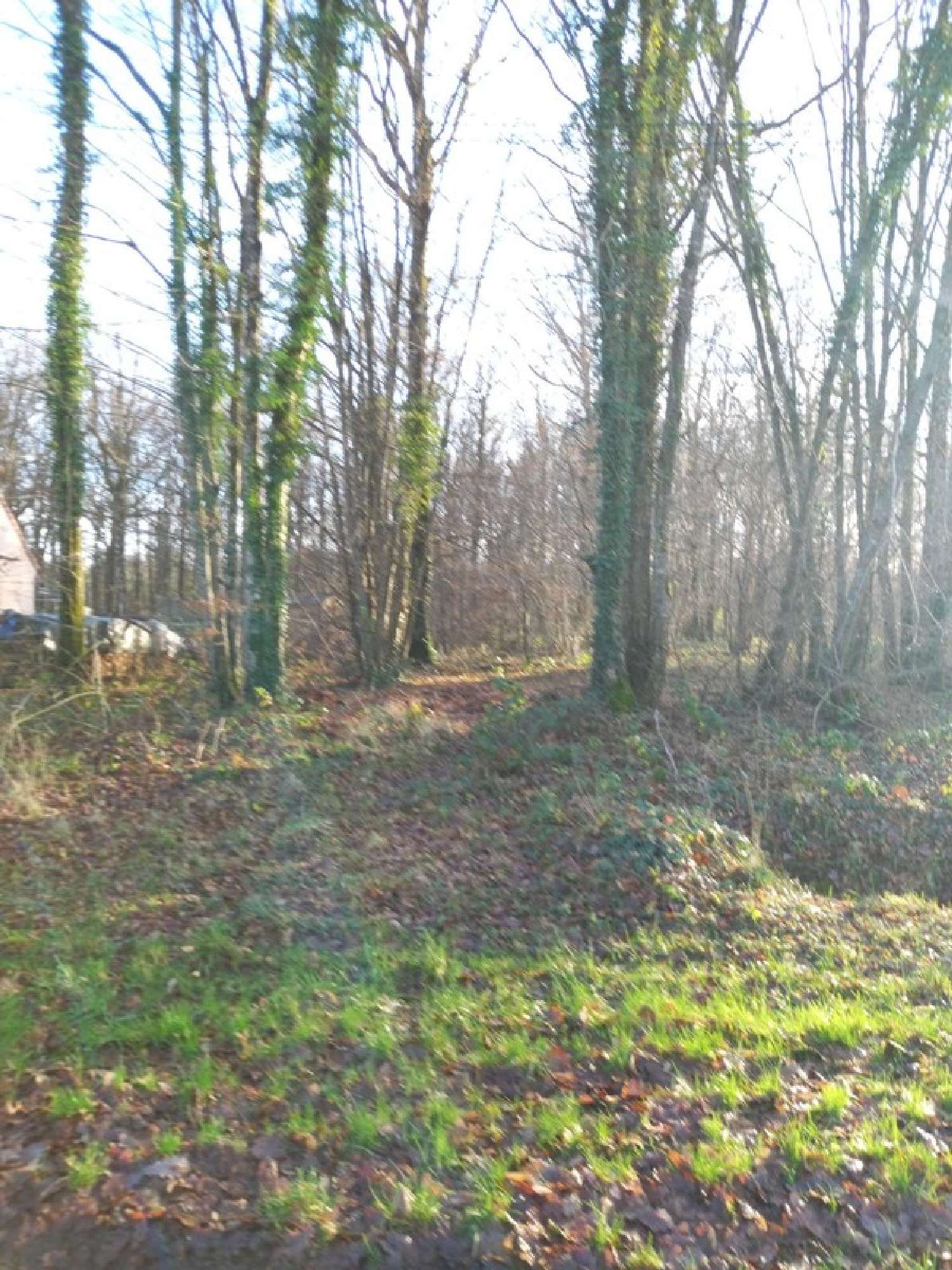  te koop terrein Saint-Hilaire-les-Andrésis Loiret 2