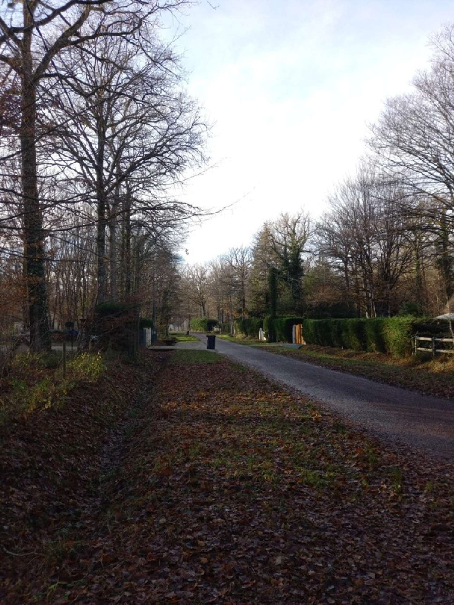  te koop terrein Saint-Hilaire-les-Andrésis Loiret 5