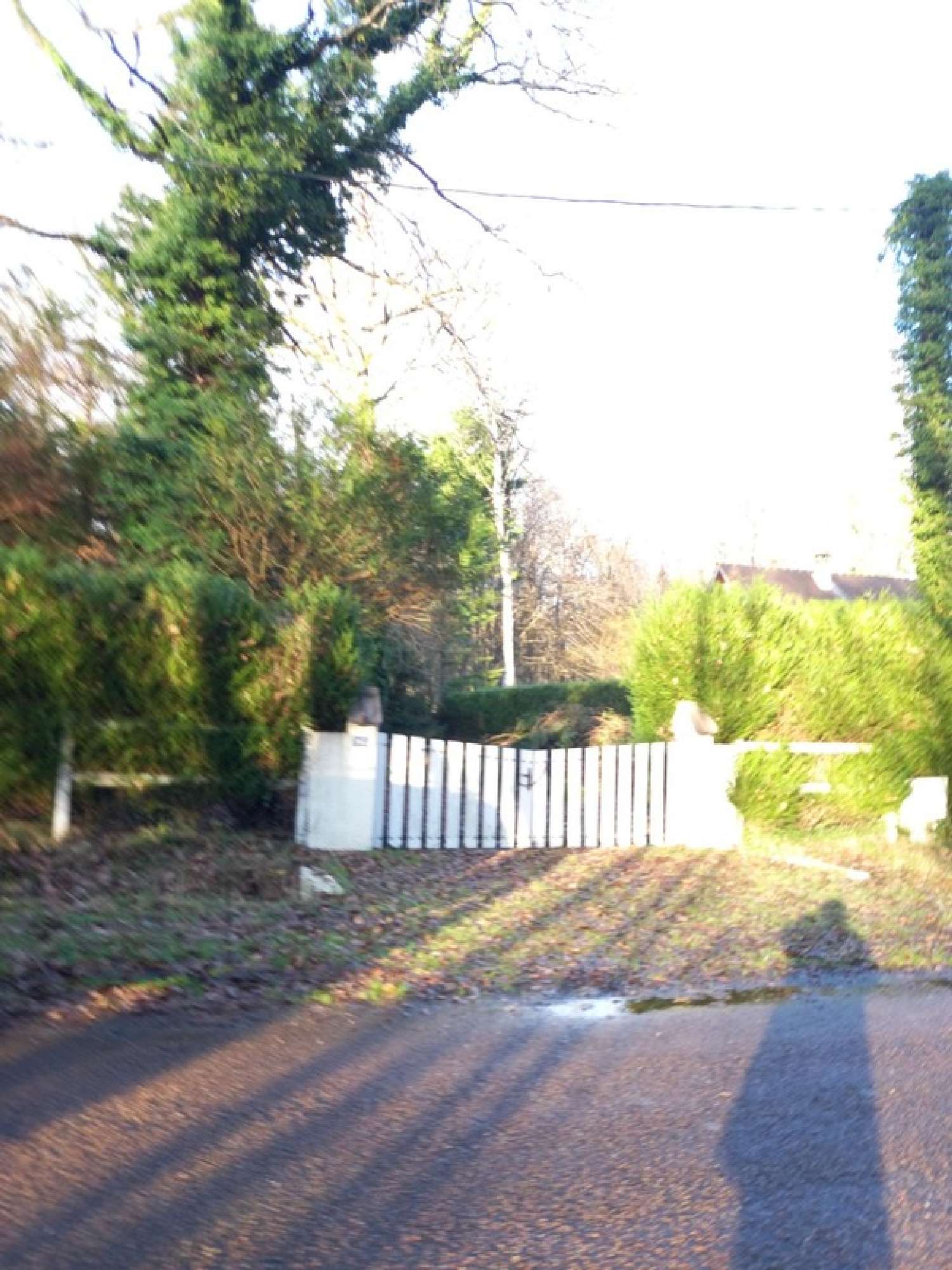  te koop terrein Saint-Hilaire-les-Andrésis Loiret 8