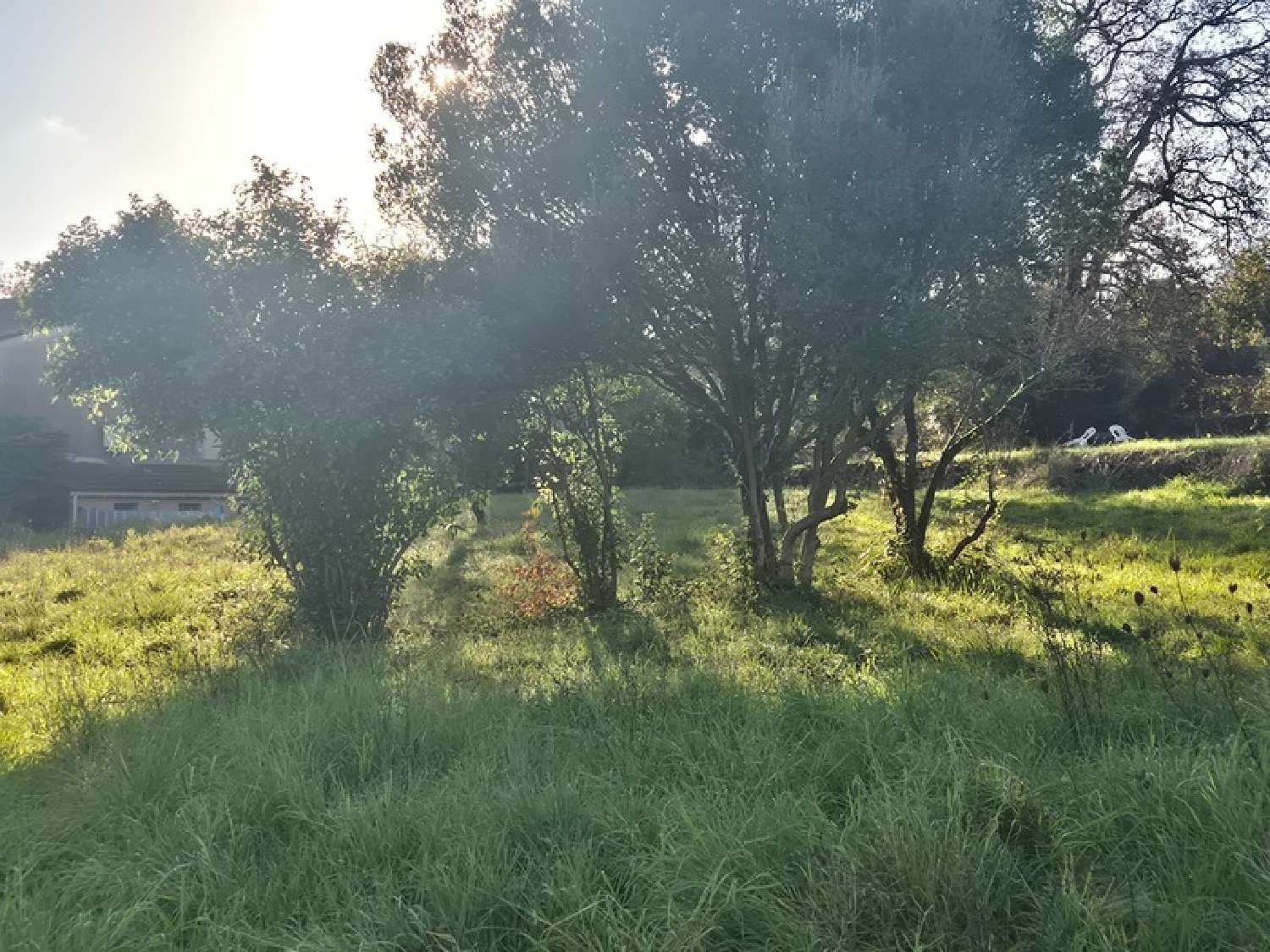  kaufen Grundstück Saint-Jean-de-Serres Gard 2