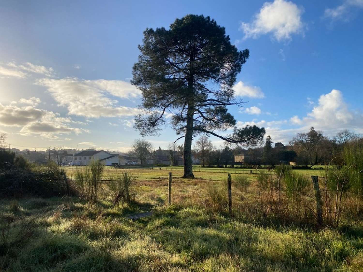  kaufen Grundstück Saint-Morillon Gironde 2