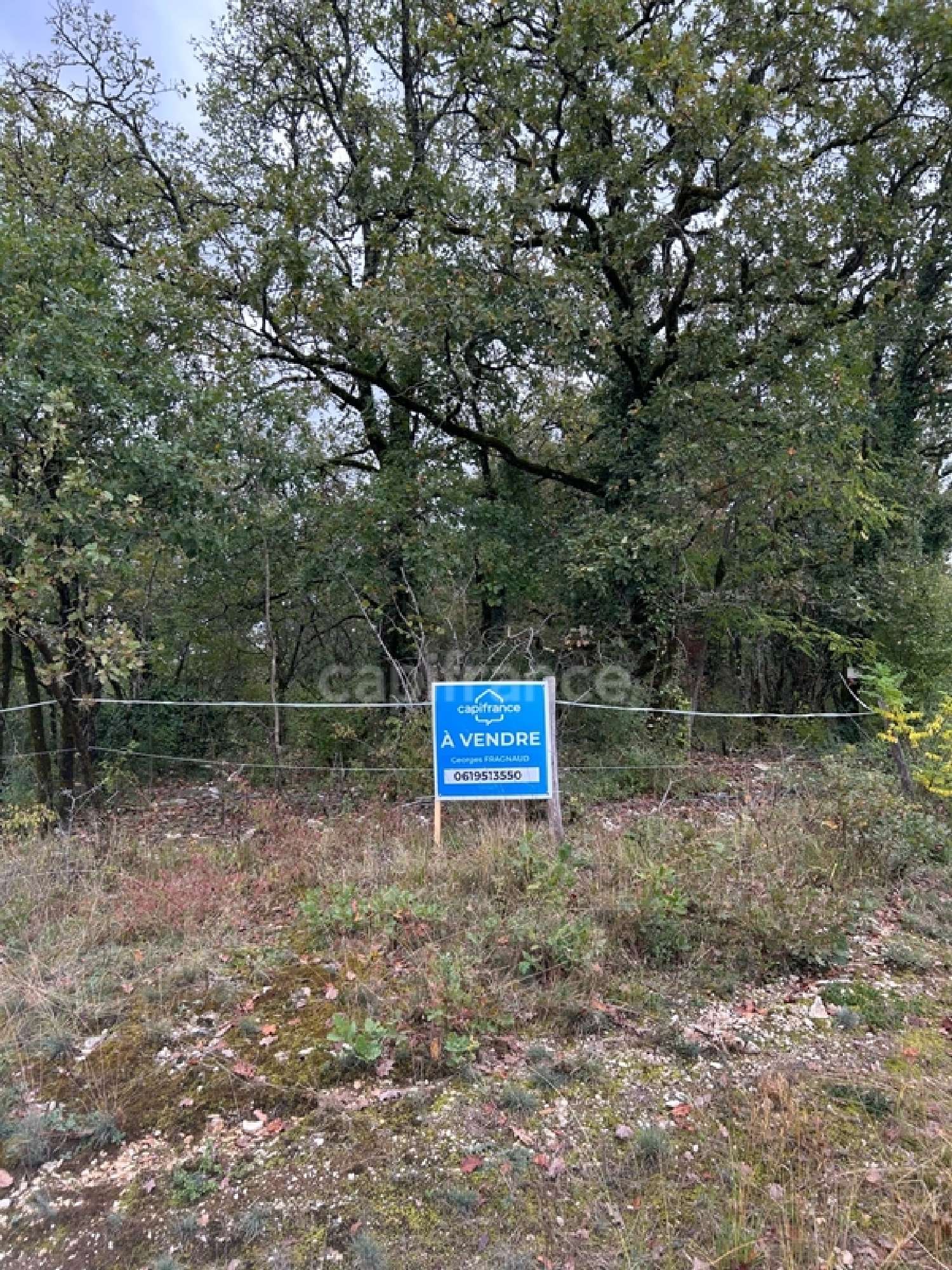  for sale terrain Saint-Pantaly-d'Excideuil Dordogne 1