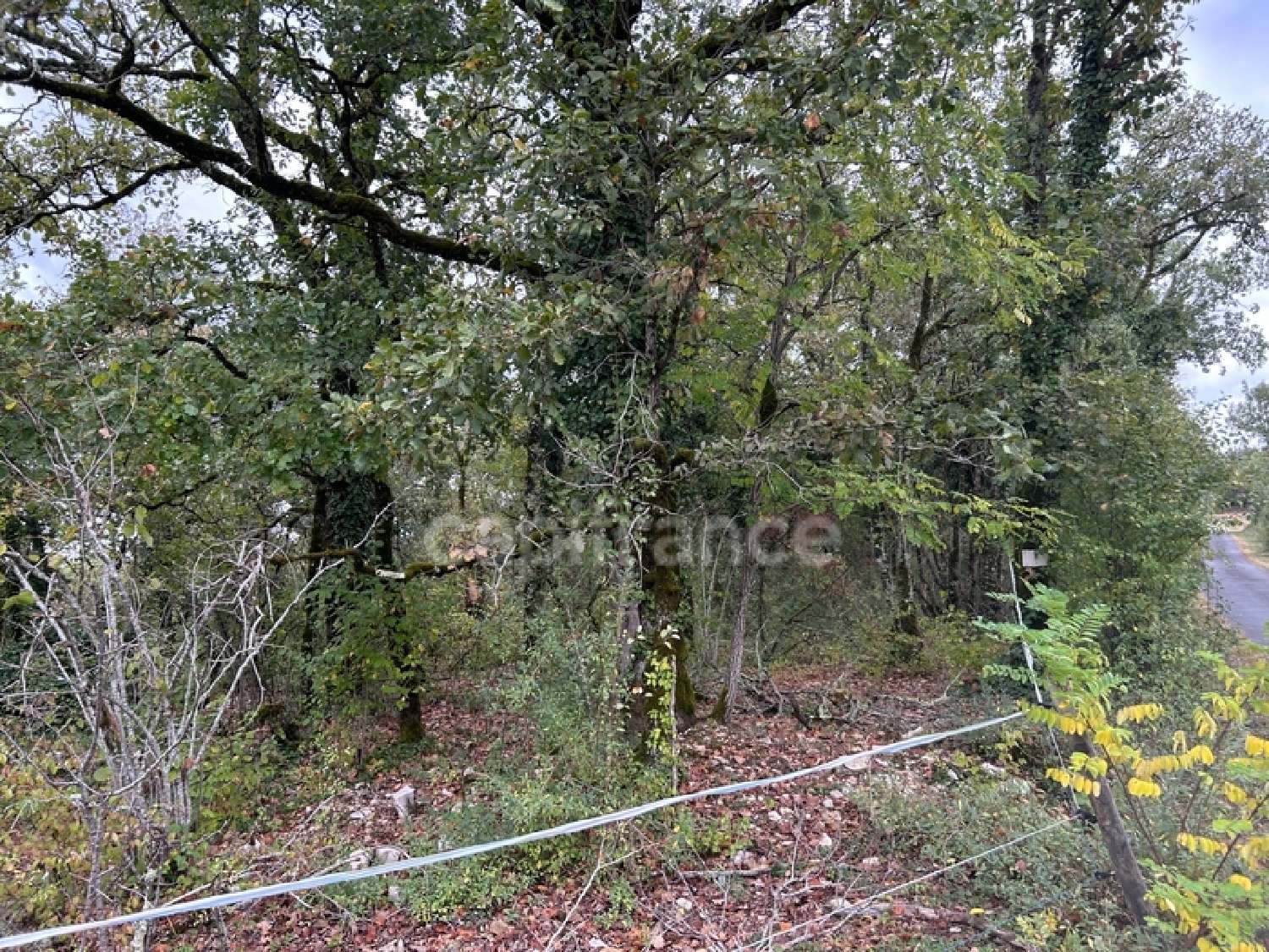  for sale terrain Saint-Pantaly-d'Excideuil Dordogne 5