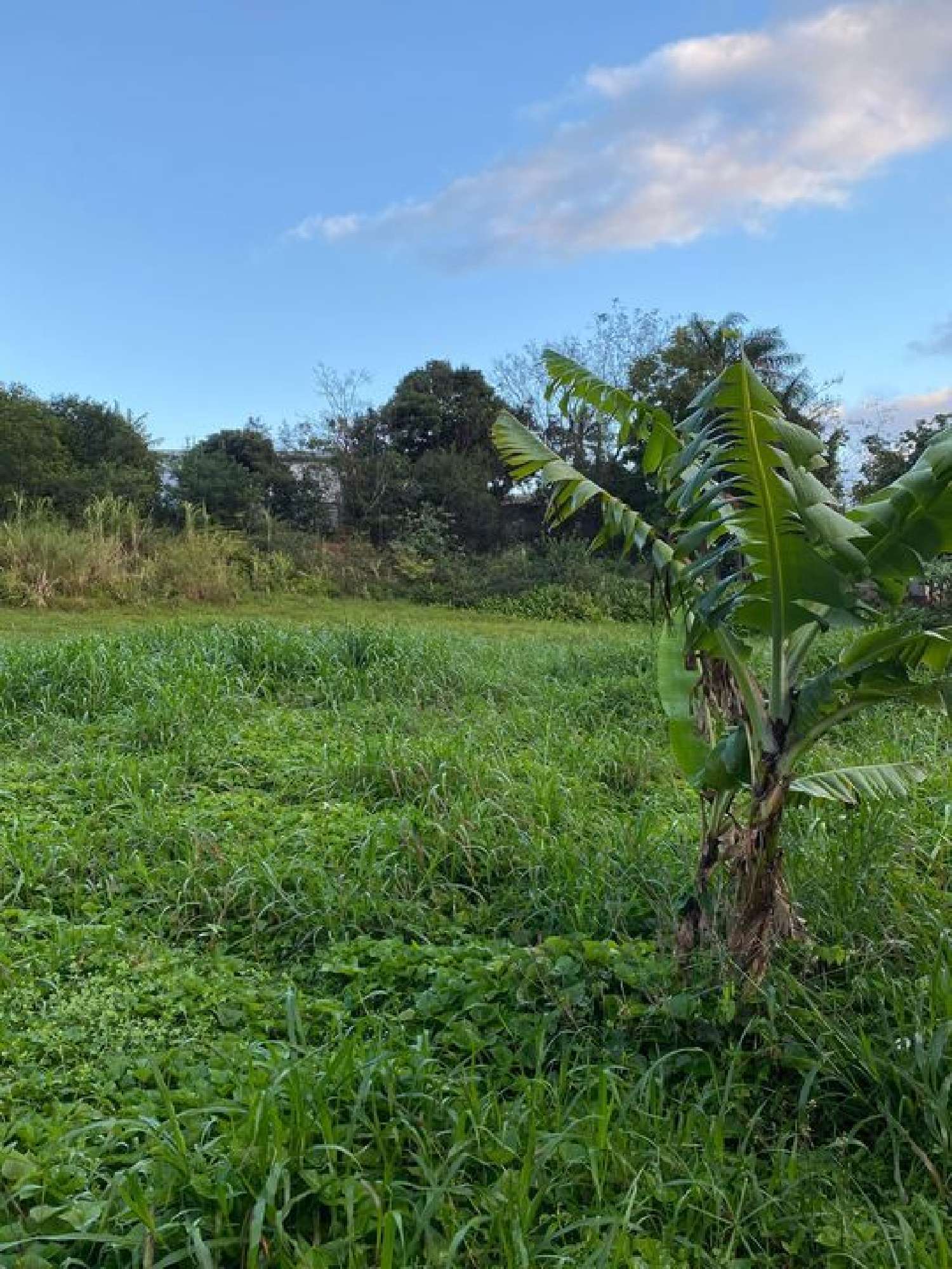  te koop terrein Sainte-Marie La Réunion 1