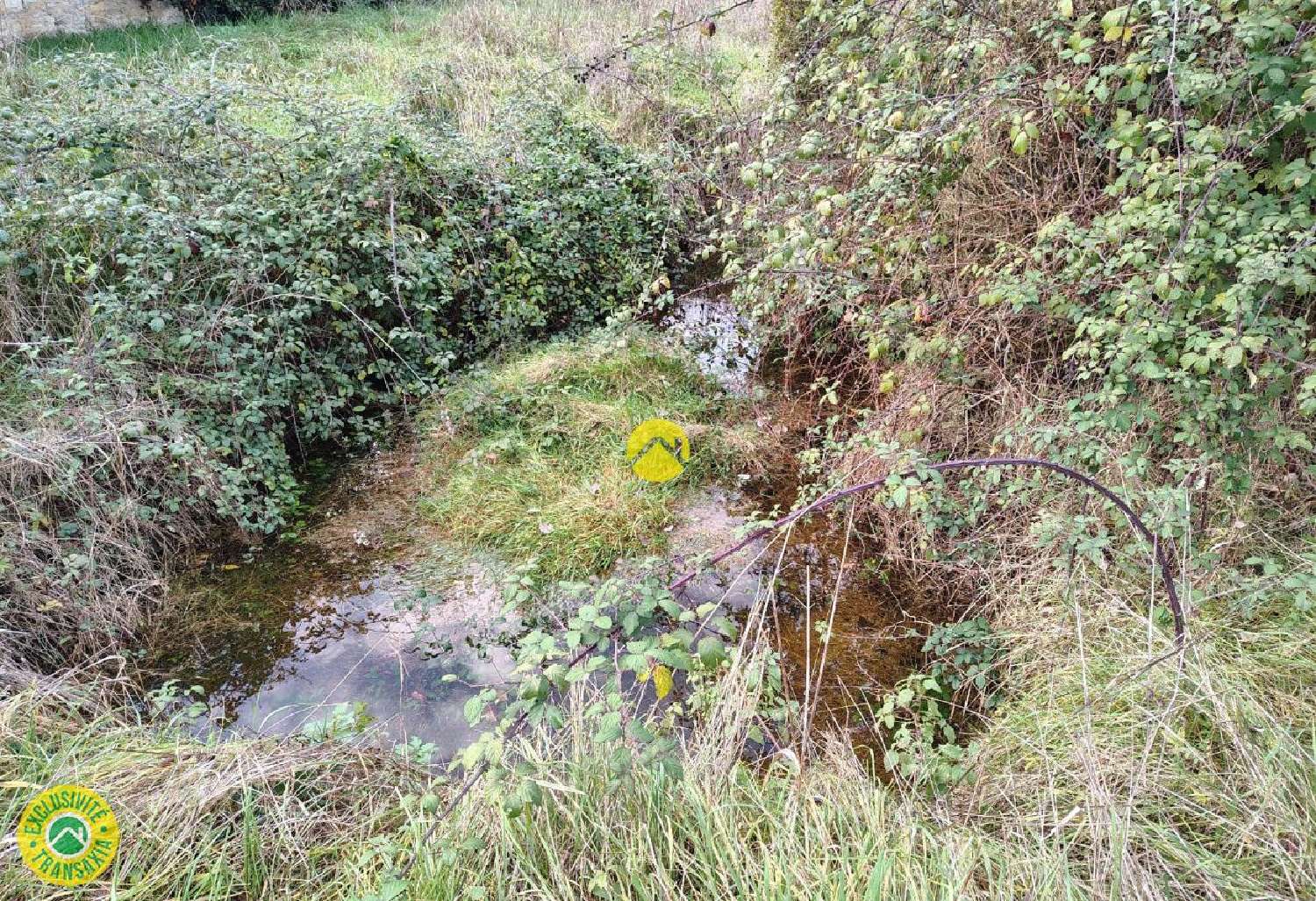  à vendre terrain Sancoins Cher 2