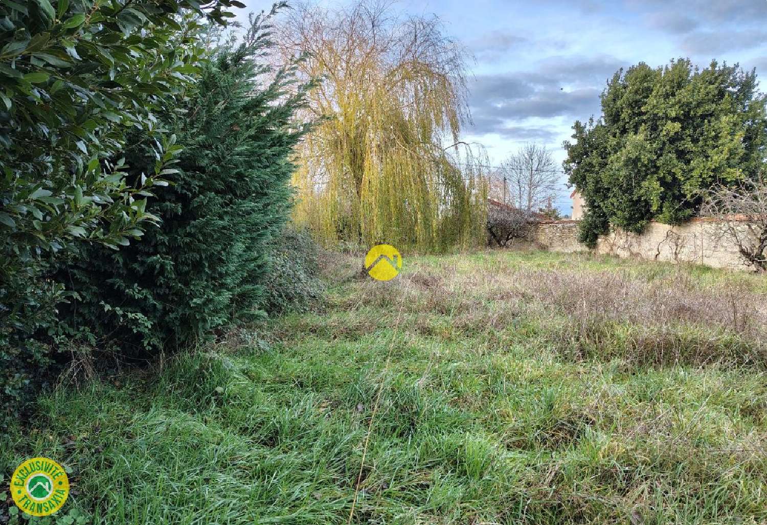  à vendre terrain Sancoins Cher 4