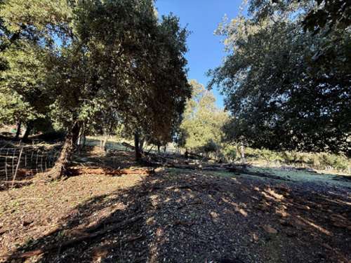 Serriera Corse-du-Sud terrain foto 7250560