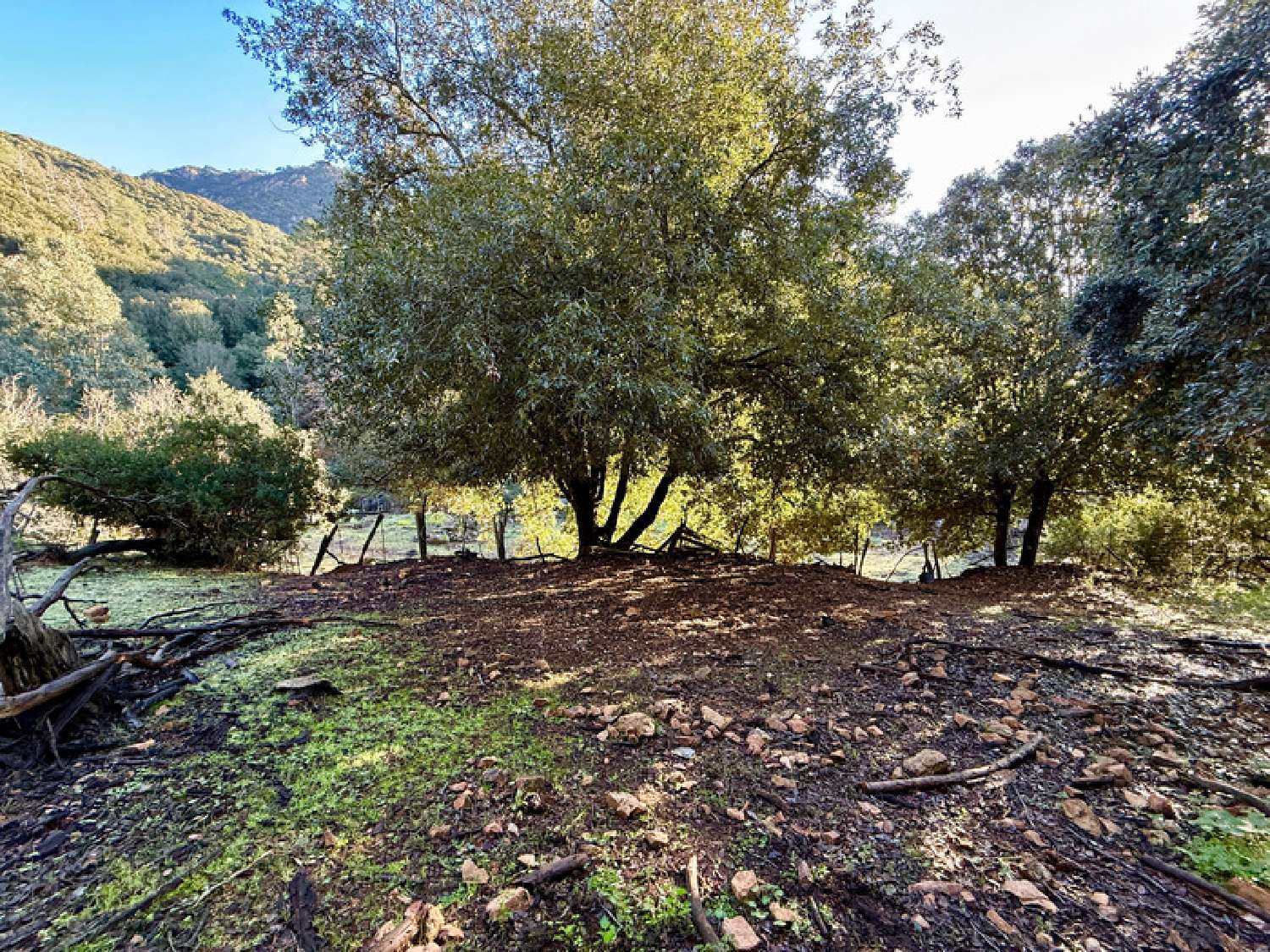  à vendre terrain Serriera Corse-du-Sud 2