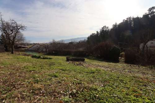 Sorbiers Loire terrain foto 7247301