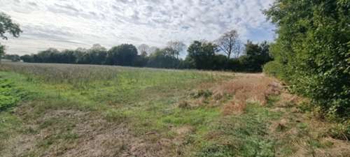 Surgères Charente-Maritime terrein foto 7250346