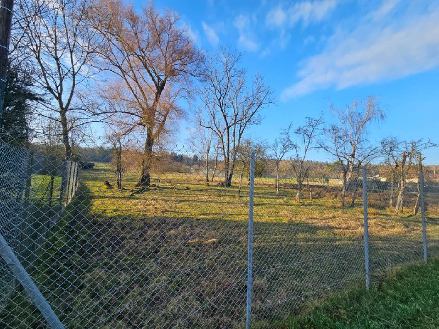  à vendre terrain Thaon-les-Vosges Vosges 2