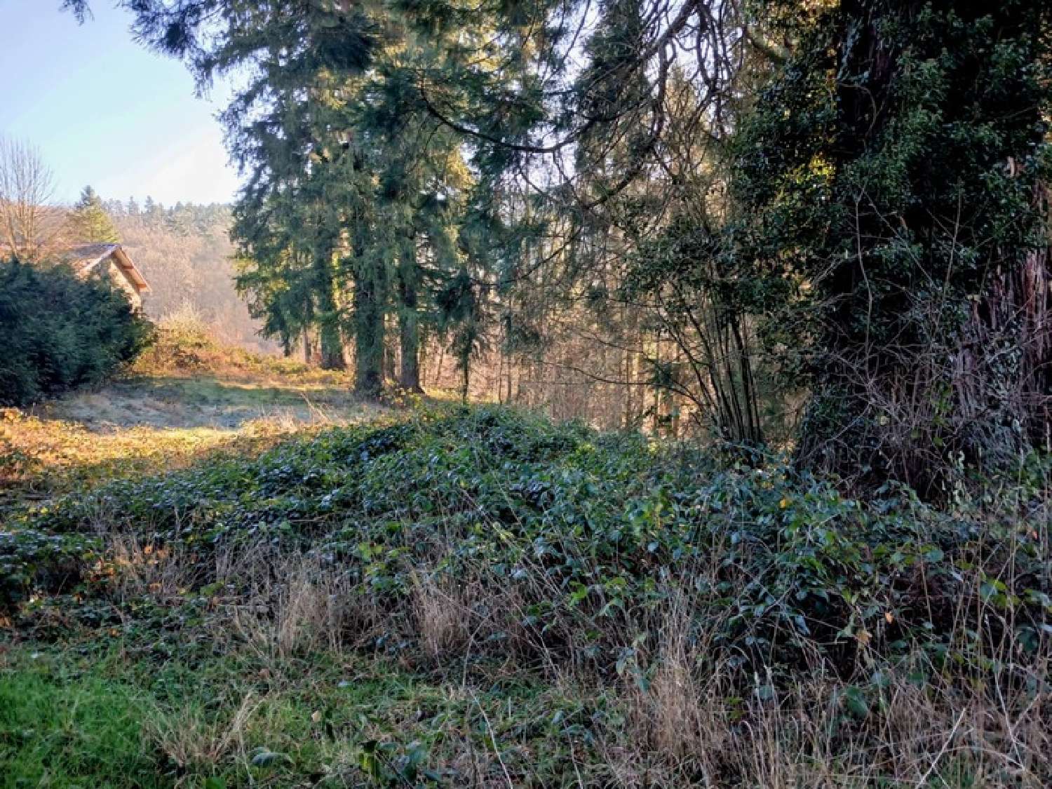  te koop terrein Thiers Puy-de-Dôme 2