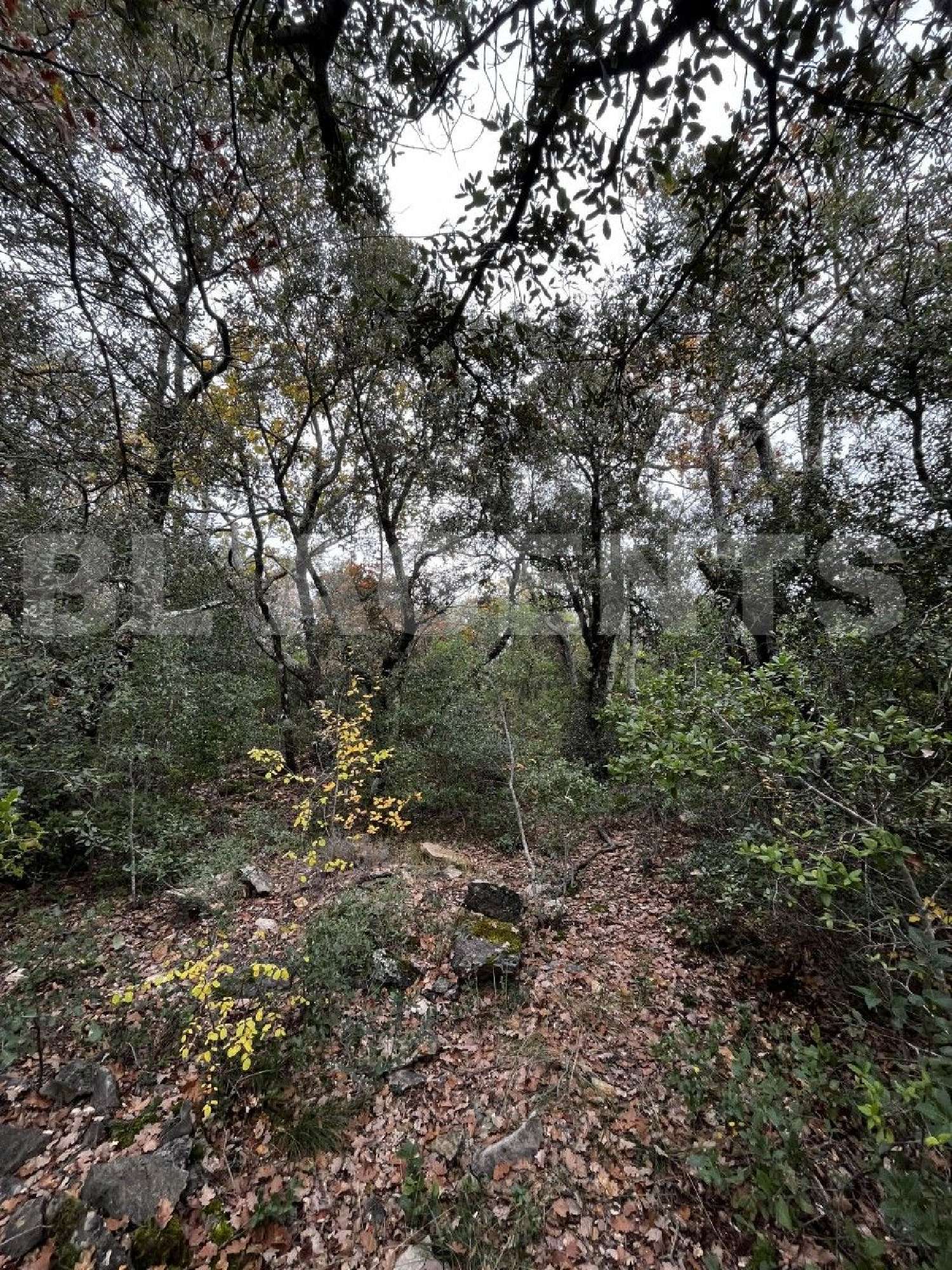  for sale terrain Tourves Var 1