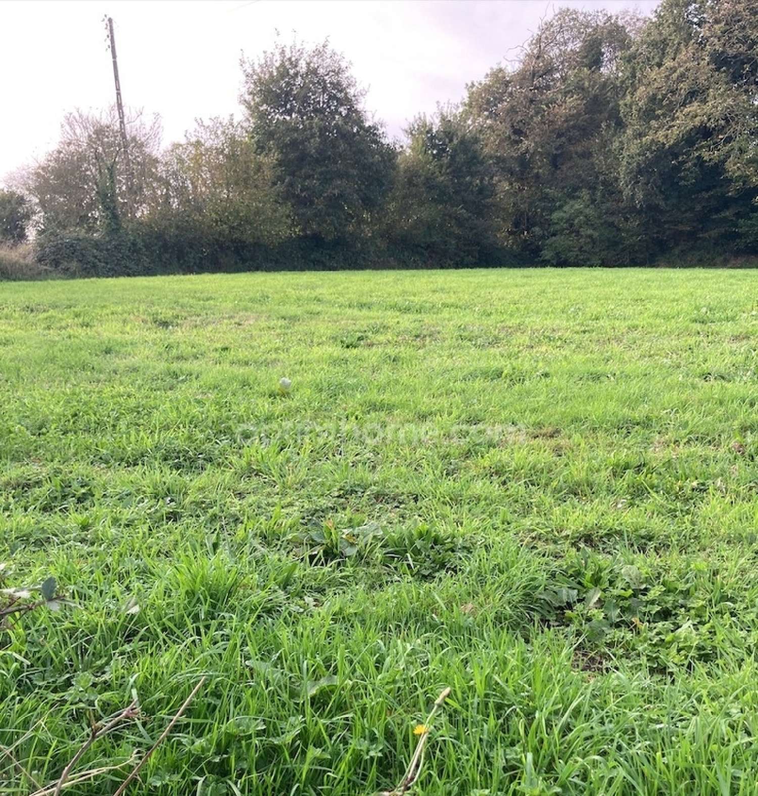  te koop terrein Trégourez Finistère 2