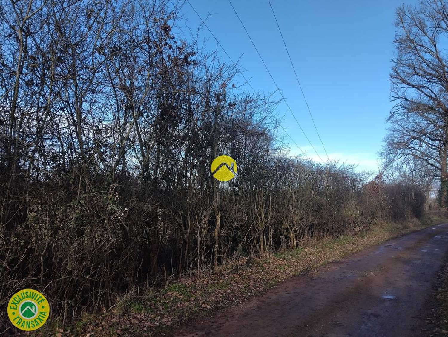 kaufen Grundstück Urçay Allier 7