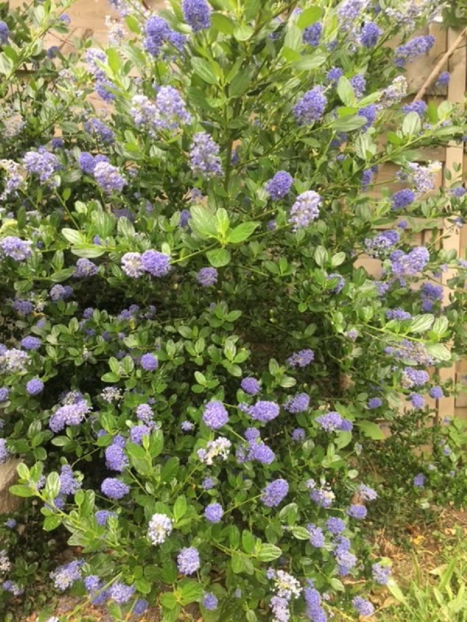 kaufen Grundstück Vannes Morbihan 1