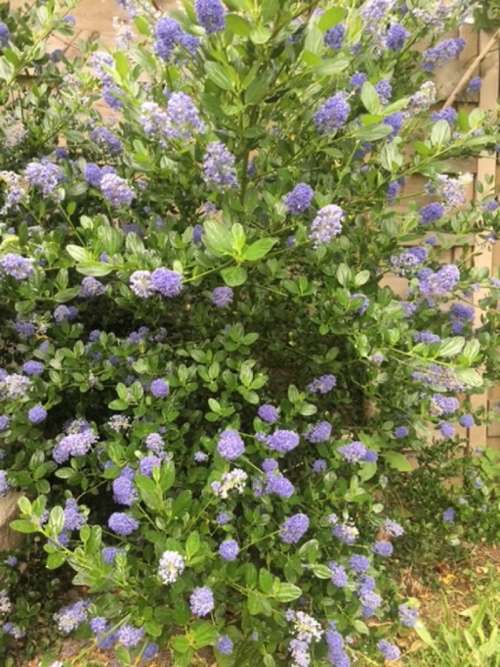 Vannes Morbihan Grundstück Bild 7244204