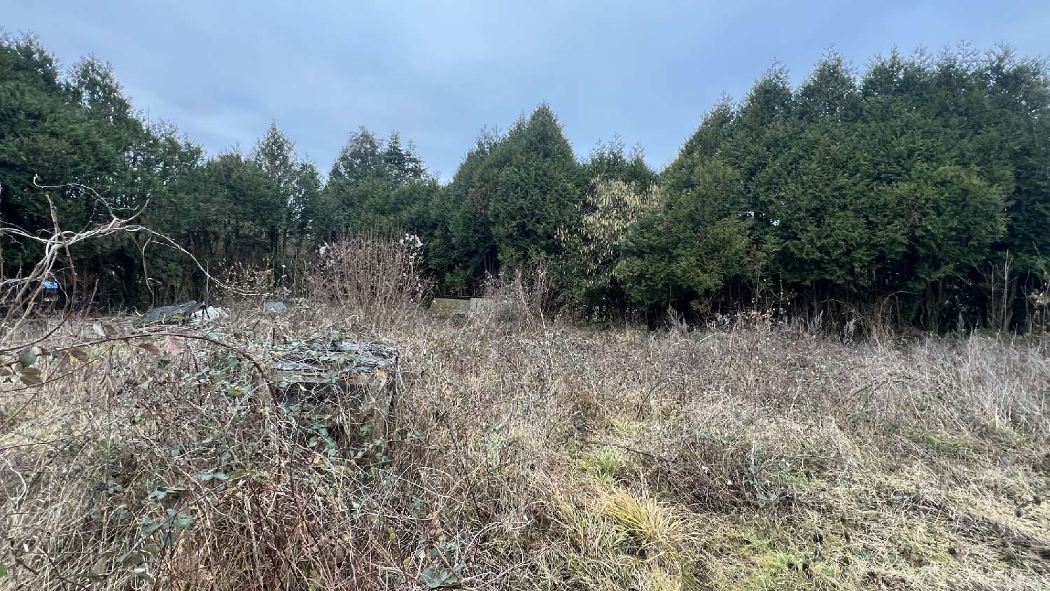  te koop terrein Vayres-sur-Essonne Essonne 4