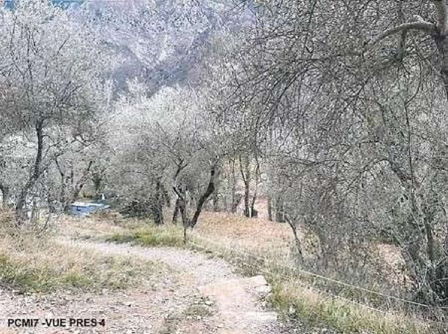 for sale terrain Villars-sur-Var Alpes-Maritimes 1