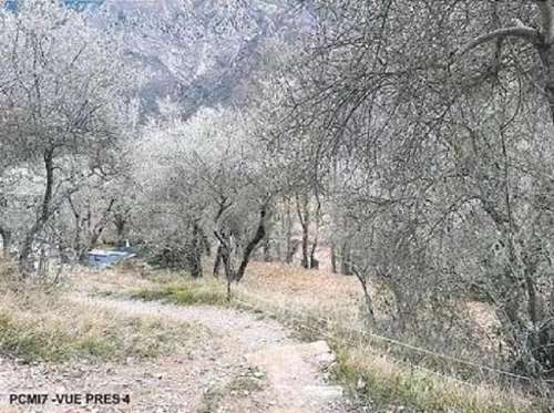 Villars-sur-Var Alpes-Maritimes terrain foto 7244281