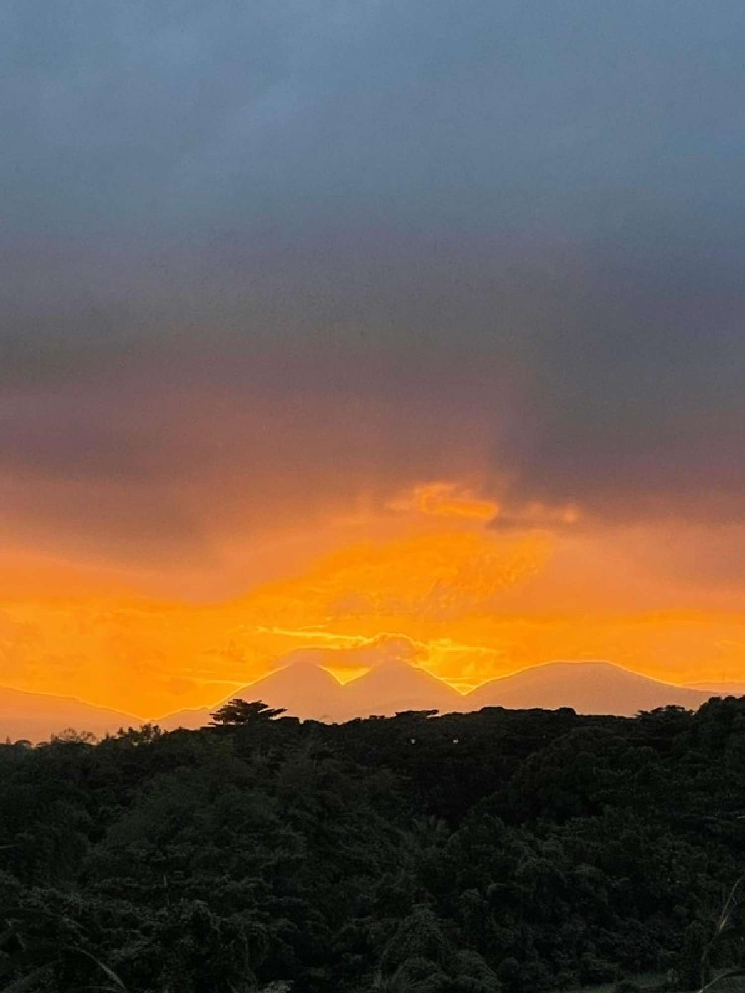  te koop villa Baie-Mahault Guadeloupe 2