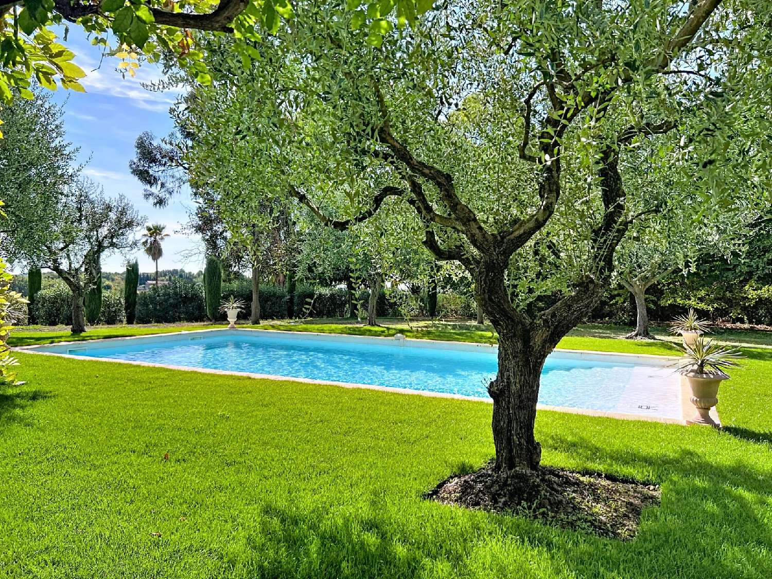 kaufen Villa Châteauneuf-Grasse Alpes-Maritimes 4